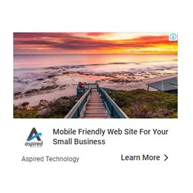 Search Engine Marketing: Google Display Ads